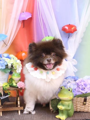 20230627太郎くん